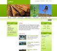 /album/%e5%bb%ba%e7%af%89%e9%96%a2%e4%bf%82/carpenter2-jpg/